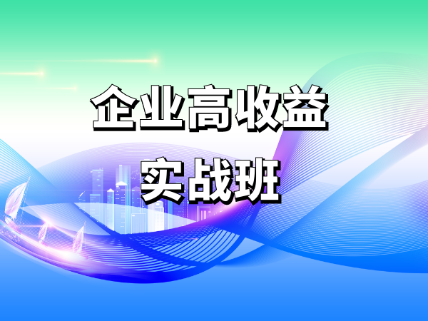 企业高收益实战班