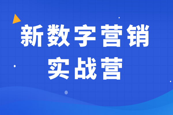 新数字营销实战营